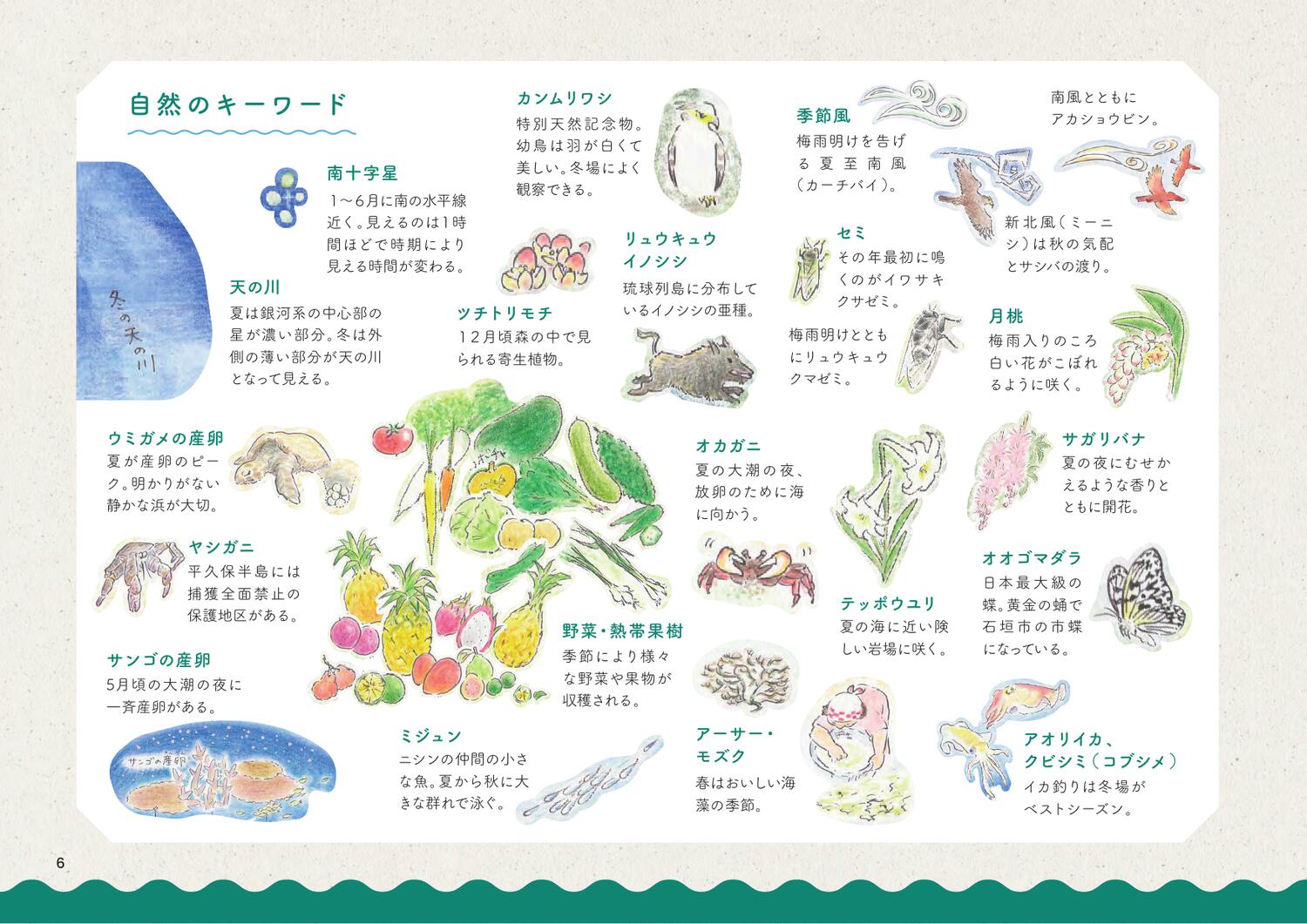 自然のキーワード。天の川、南十字星、カンムリワシ、ヤシガニ、サガリバナ、ウミガメの産卵、サンゴの産卵など